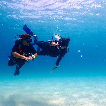 The Dearly Koh Tao Hostel-Padi 5 Star Dive Resort Luaran gambar