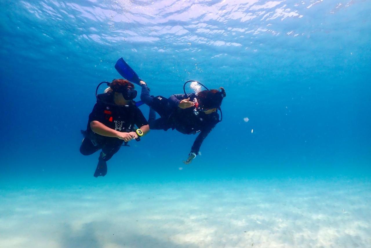 The Dearly Koh Tao Hostel-Padi 5 Star Dive Resort Luaran gambar