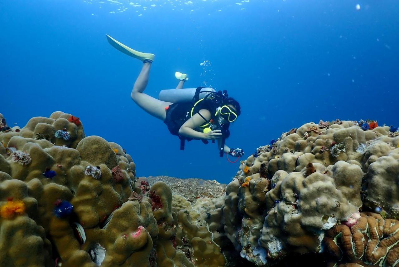The Dearly Koh Tao Hostel-Padi 5 Star Dive Resort Luaran gambar