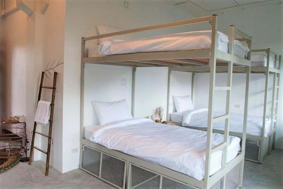 The Dearly Koh Tao Hostel-Padi 5 Star Dive Resort Luaran gambar