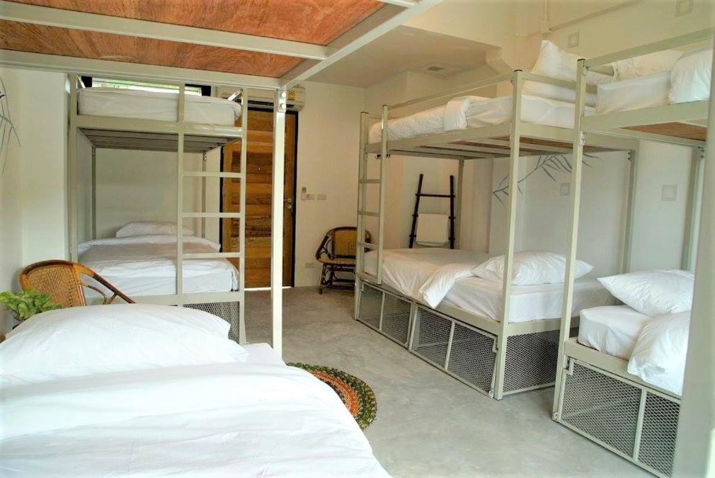 The Dearly Koh Tao Hostel-Padi 5 Star Dive Resort Luaran gambar