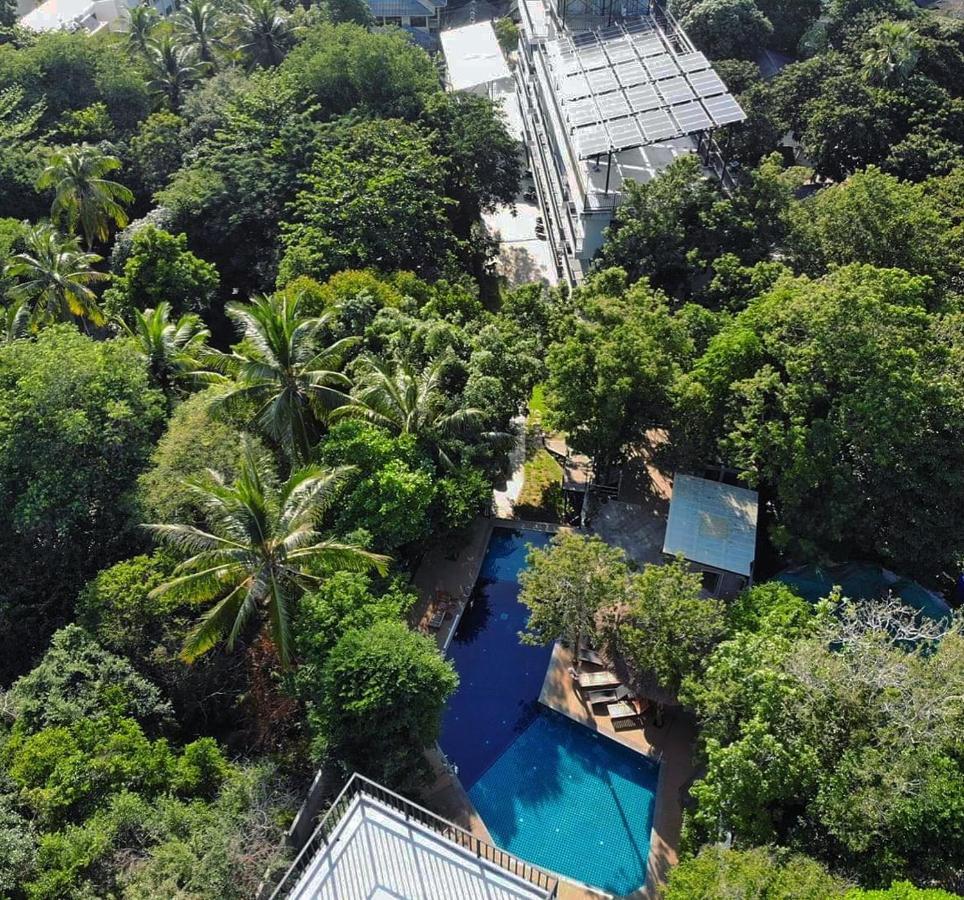 The Dearly Koh Tao Hostel-Padi 5 Star Dive Resort Luaran gambar